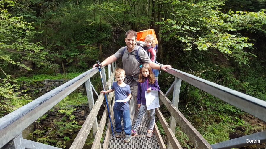 Ingleton Waterfalls